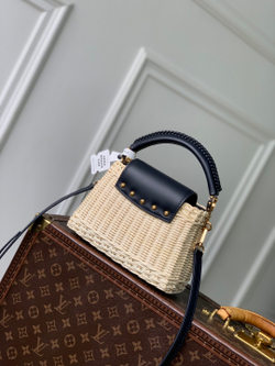Louis Vuitton Capucines Mini