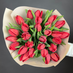 Bouquet of 25 red tulips