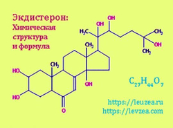 Экдистерон: химическая формула и структура