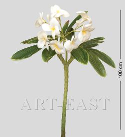 TR 614L Плумерия 8 бутонов