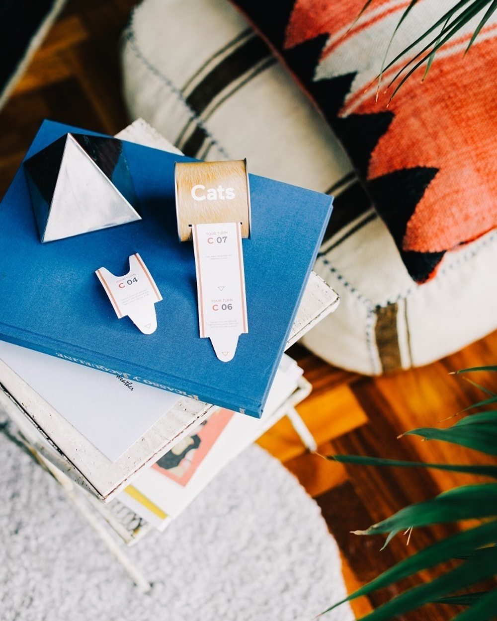 Набор «Узнай что-то новое о кошках»