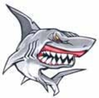 Наклейка "Акула злая" винил 11*11см VRC-468 (05153)