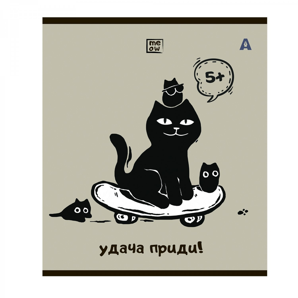 Тетрадь 48л, А5, клетка, Alingar "Удача приди", скрепка,мелованный картон (стандарт) Soft touch, блок офсет, 5 дизайнов в пленке т/у