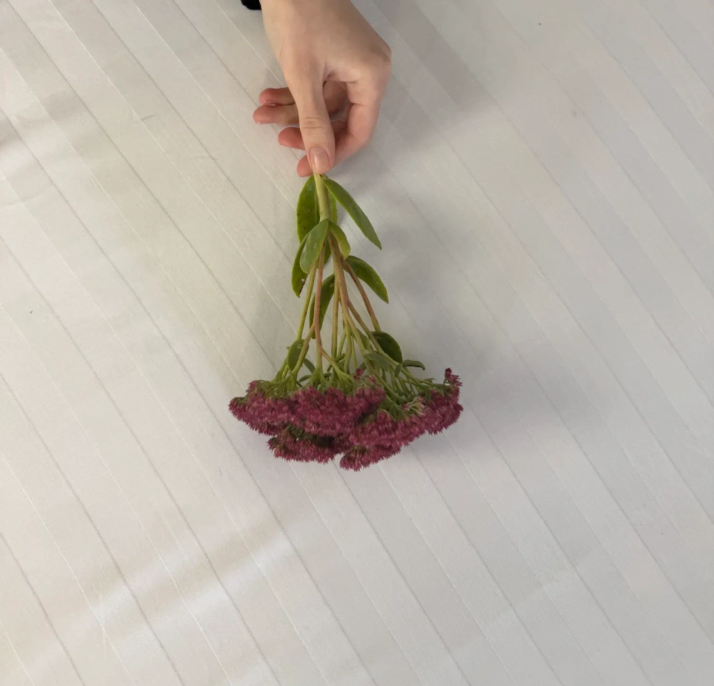 Простыня на резинке 200*90*25 WHITE LINE, сатин