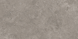 Capri Gris Керамогранит серый 60х120 Сатинированный Карвинг