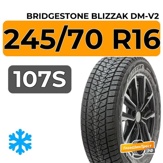 Bridgestone Blizzak DM-V2 245/70 R16 107S