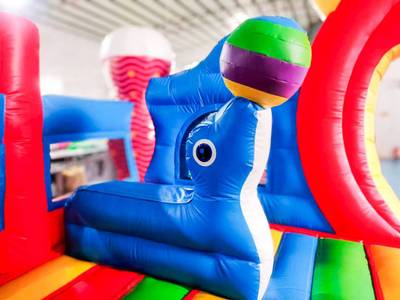 Коммерческий надувной батут «Крабиссимо» 11*9*7 м