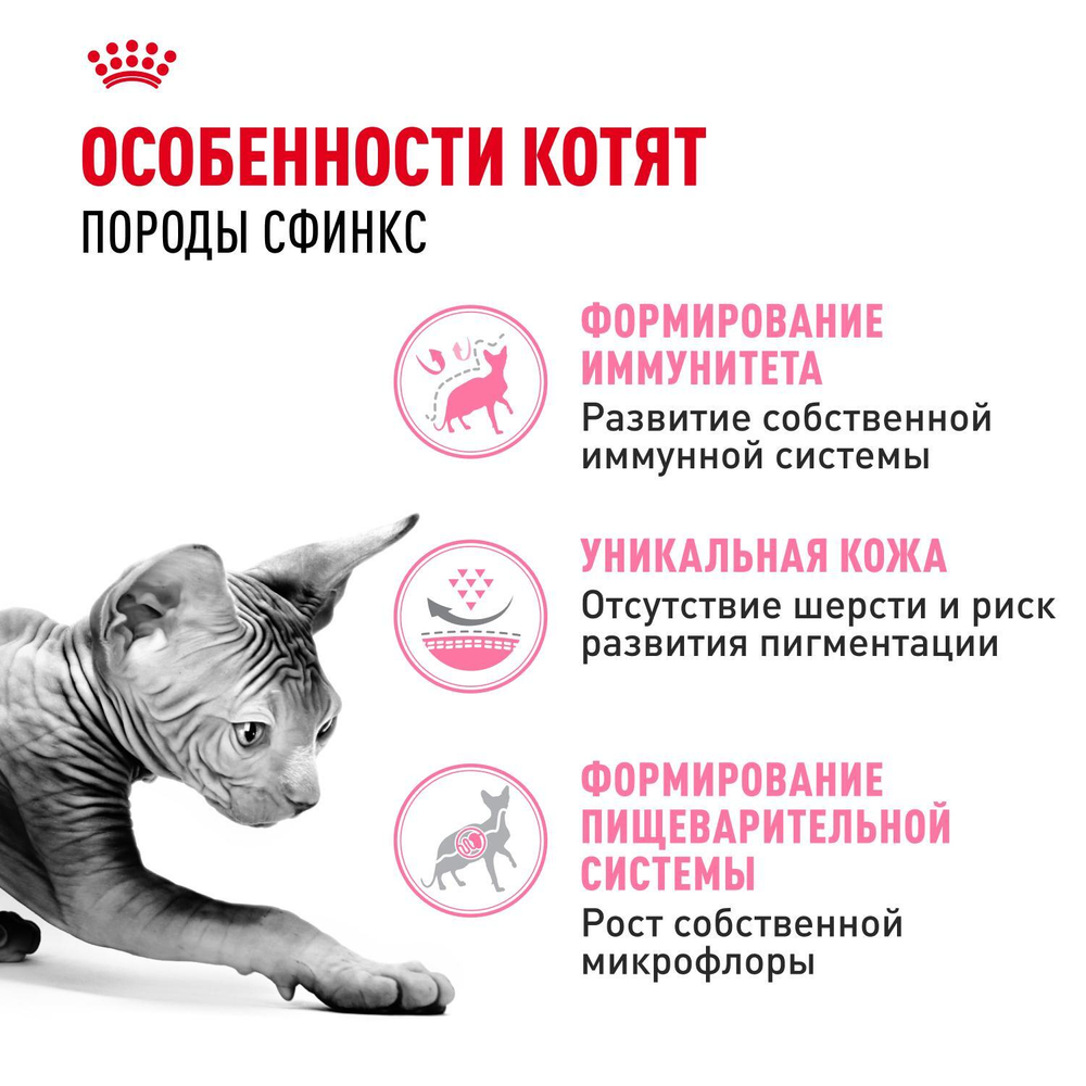 Royal Canin Sphynx Kitten Корм сухой сбалансированный для котят породы Сфинкс до 12 месяцев 0,4 кг
