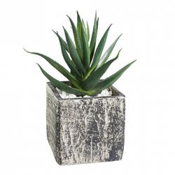 Растение в горшке Eglo Chitose 428008