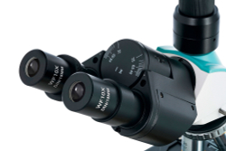 Микроскоп Levenhuk 400T, тринокулярный - фото 5