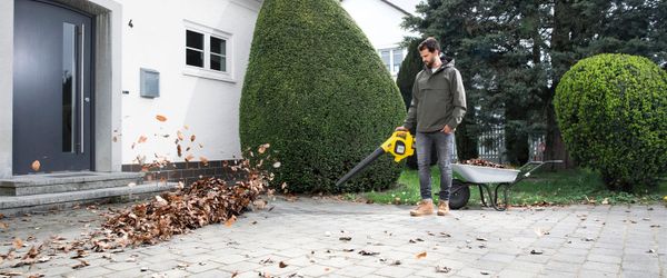 Уборка листьев: пять осенних советов