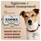 Адресник для собачек и кошечек, с гравировкой большая хромированная "Косточка" 38*25мм (металл)