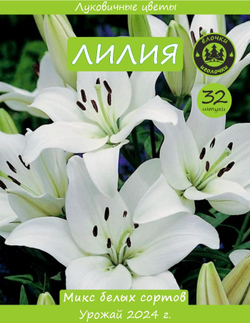 Лилия Луковица, Микс белые, 32шт