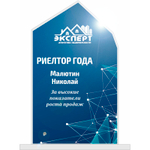 Акриловый приз Риелтор года 3516-180