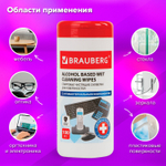 Салфетки спиртовые универсальные АНТИБАКТЕРИАЛЬНЫЕ BRAUBERG 100 шт. (3 штуки в упаковке)