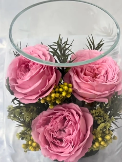 натуральные пионы в стекле, вакуум*