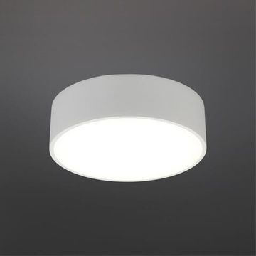 Светильник настенно-потолочный APL.0114.09.12