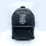 Coach 1