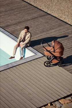 Детская коляска Anex l/type 3 в 1 Hazel