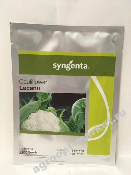 ЛЕКАНЮ F1 семена капусты цветной (Syngenta | Alexagro) – фото 4