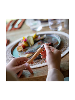 Нож филейный Opinel №10, нержавеющая сталь, рукоять оливковое дерево