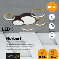 Накладная люстра Lumion 5255/99CL