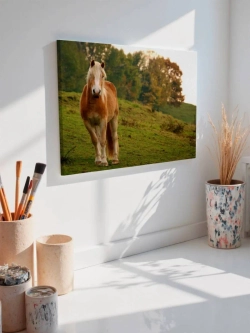 Картина на стену 40 X 50 Конь