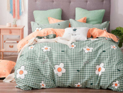 Постельное белье 1.5 спальное Asabella 1326-4S