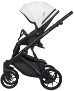 Детская коляска Riko Basic Montana X Ecco 2 в 1 32 White-Light Silver (белый-св.серый)
