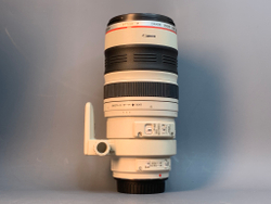 Canon EF 100-400mm 4.5-5.6L IS