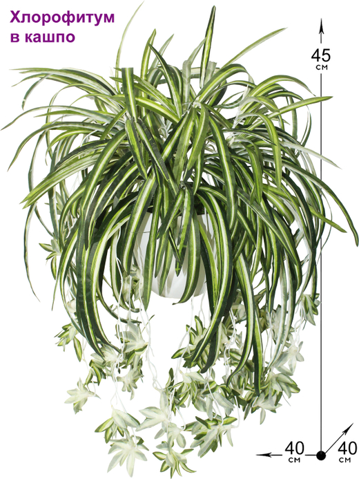 Искусственное растение Хлорофитум большой 45см в кашпо