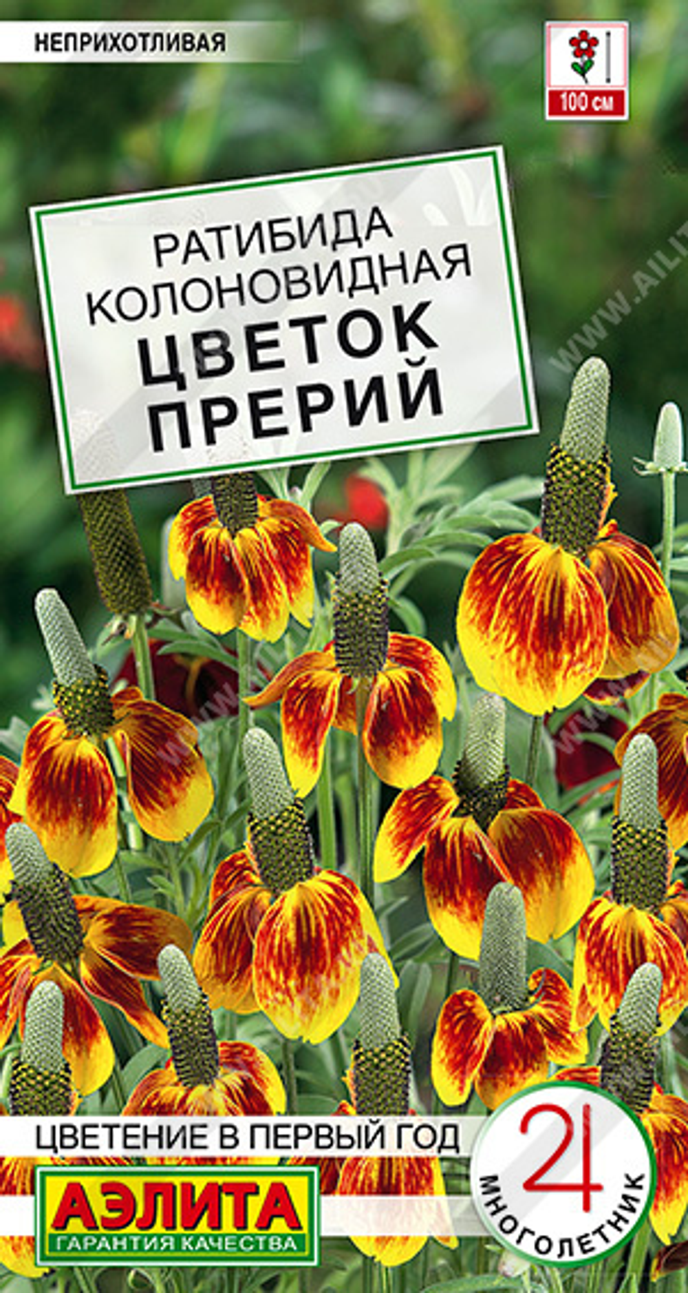 Ратибида колоновидная Цветок прерий