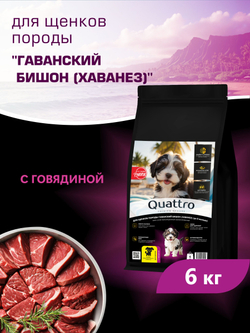 Quattro корм для щенков породы Гаванский бишон (Хаванез), с говядиной, 6 кг, QUATTRO
