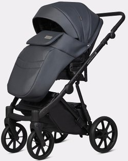 Детская коляска Riko Basic Montana X Ecco 2 в 1 24 Graphite (графит)