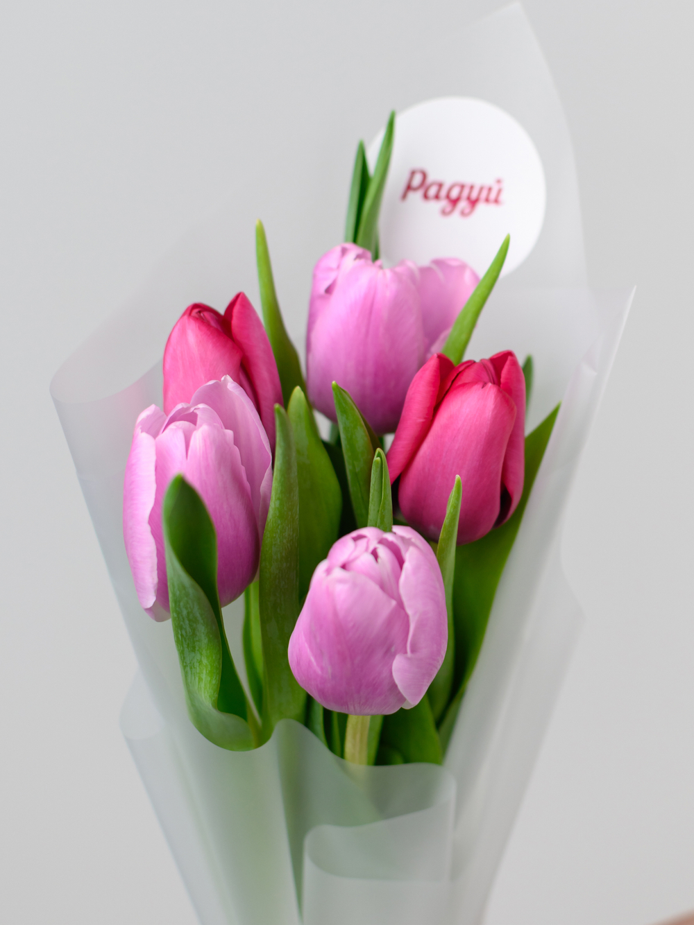 Тюльпаны микс