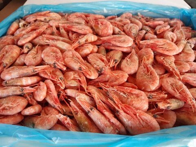 Креветки северные