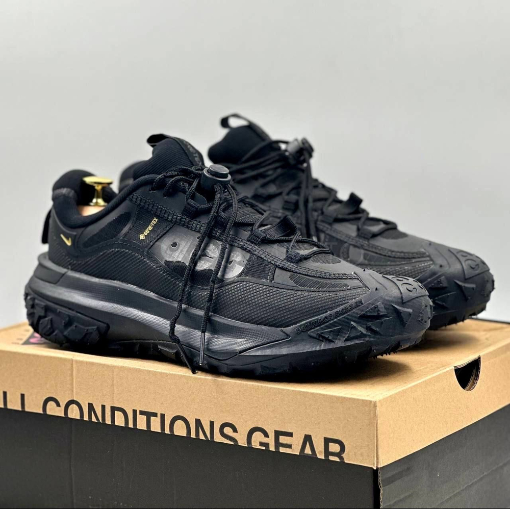 Nike ACG Mountain FLY 2LOW