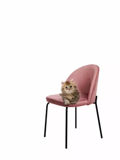 Стул "Мале" 1 шт. Антивандальная ткань, Дизайнерские ножки