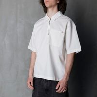  Поло мужское Dickies Cadiz Quarter Zip артикул:DK0A88PIC481 - купить в магазине Дайс