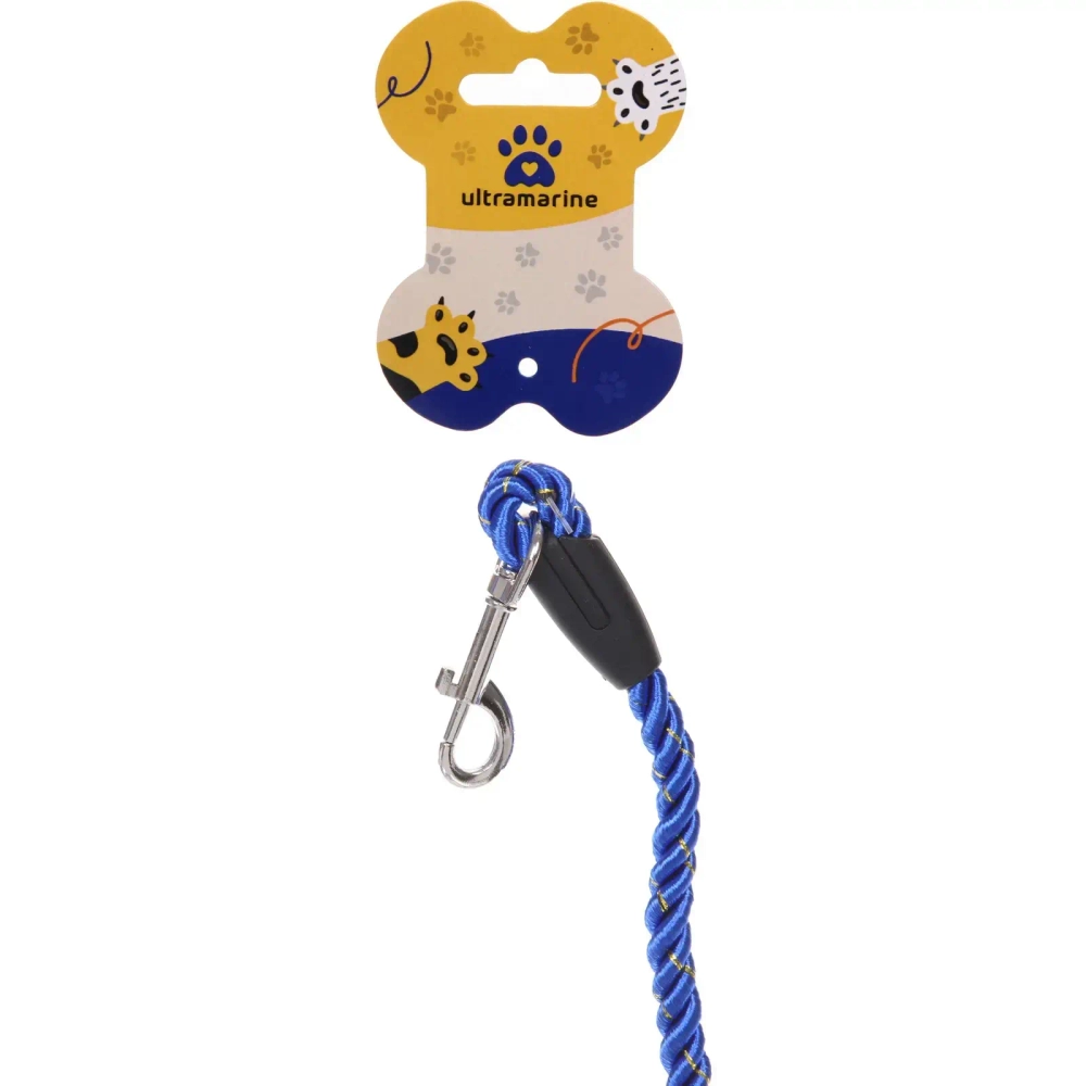 Поводок нейлоновый с карабином «Бро на прогулке», цвет синий, 1.3метра