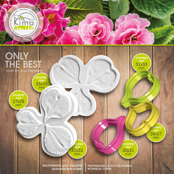 Примула лепестки