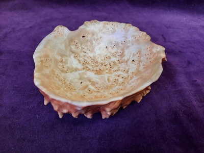 Орешница, кап березы