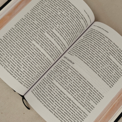 Добыча. Всемирная история борьбы за нефть, деньги и власть