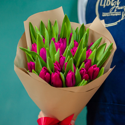 Малиновые тюльпаны в оформлении