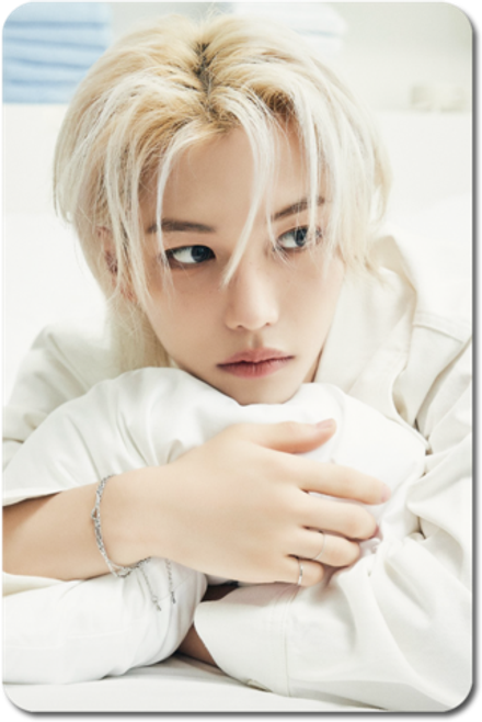 Карта / STRAY KIDS #0763