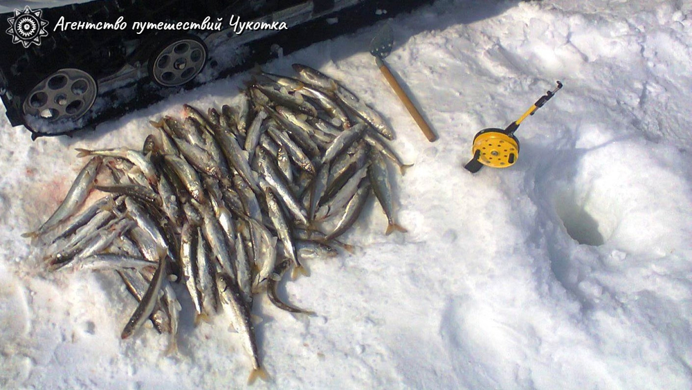 Озеро Майниц - жемчужина Чукотки (март-апрель)