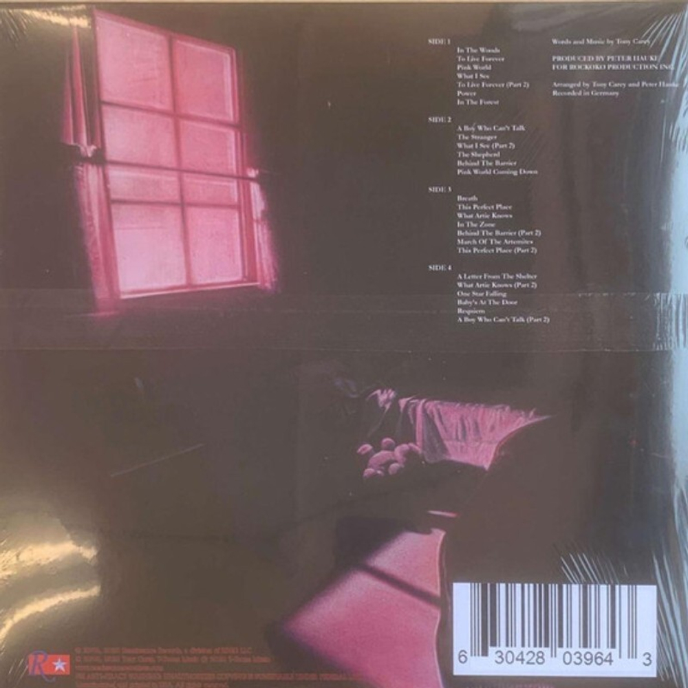 Planet P Project / Pink World (Coloured Vinyl)(2LP)