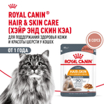 Royal Canin Hair&Skin Care паучи для взрослых кошек для поддержания здоровья кожи и красоты шерсти ломтики в соусе 85г