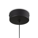 Подвесной светодиодный светильник Freya Ida FR6133PL-L4W