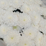 Соберу букет №181